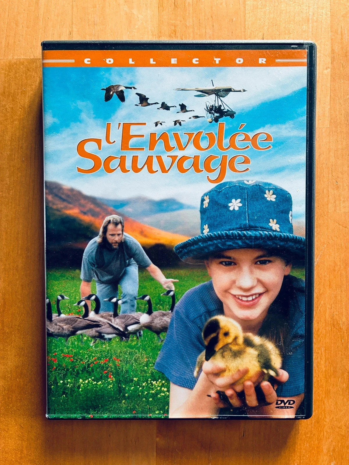 DVD L’envolée sauvage.